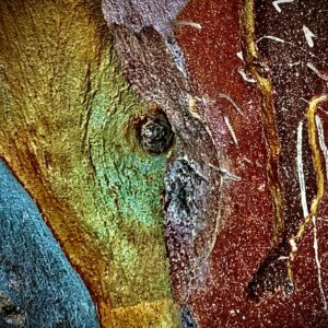 bois coloré, photo d'art abstraite, pictural, taureau stylisé.