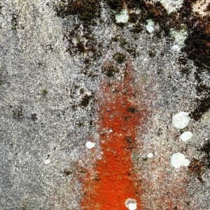 une roche incandescente, photo d'art abstraite, incrustation de mousses.