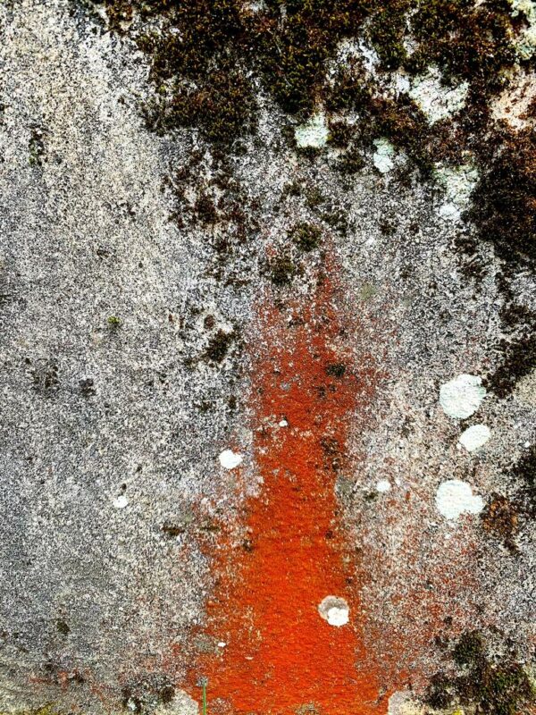 une roche incandescente, photo d'art abstraite, incrustation de mousses.