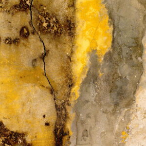 couleurs automnales, photo d'art abstraite, nuances du jaune au gris, pictural.