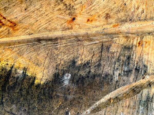 griffures, dans les tons d'ocre et de gris, photo d'art abstraite, élément bois.